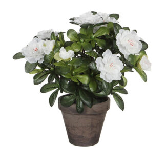 koristekasvi-mica-decorations-11-5-x-27-x-20-cm