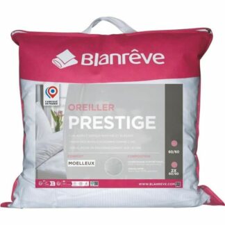 tyyny-blanreve-2-osaa-60-x-60-cm